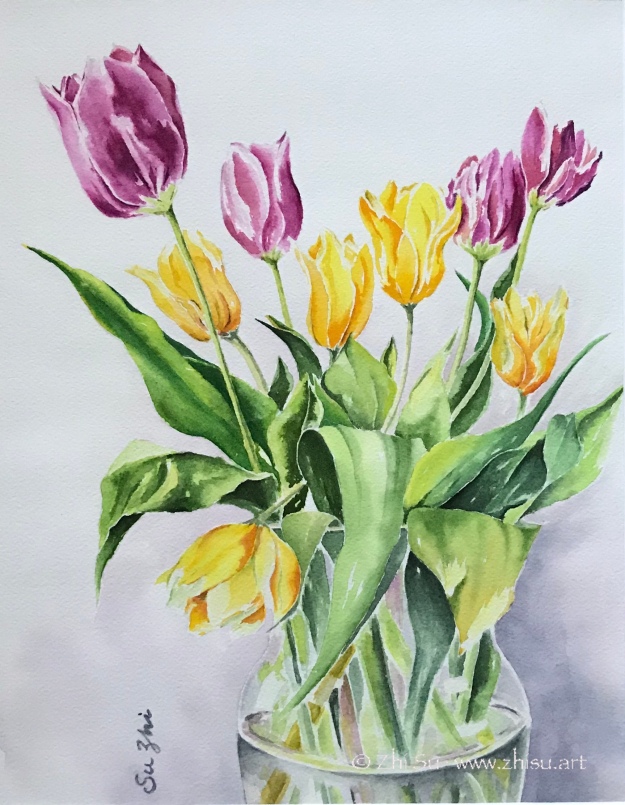 Tulips, watercolor