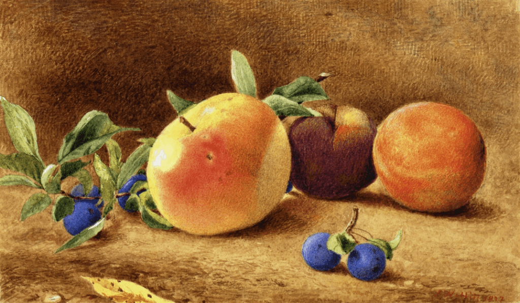 J. W. Hill, Study of Fruit